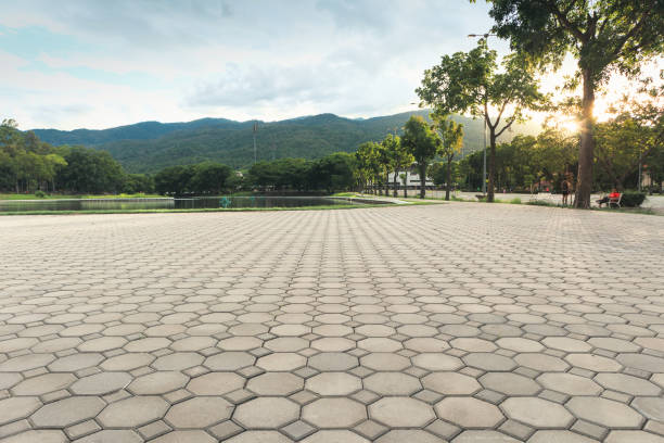 Best Residential Paver Driveway  in Moose Lake, MN