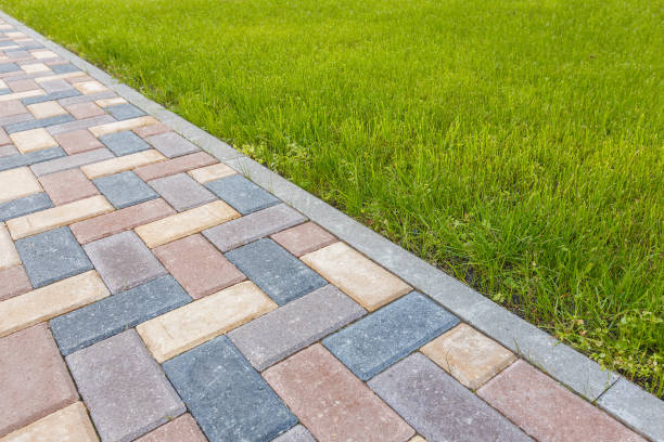 Best Driveway Paving Near Me  in Moose Lake, MN